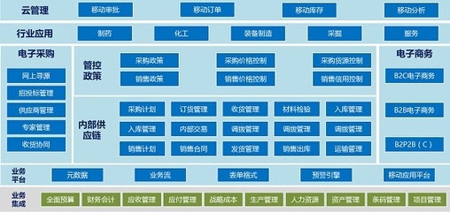 浪潮软件技术支持|诚佰网络(在线咨询)|襄阳浪潮软件